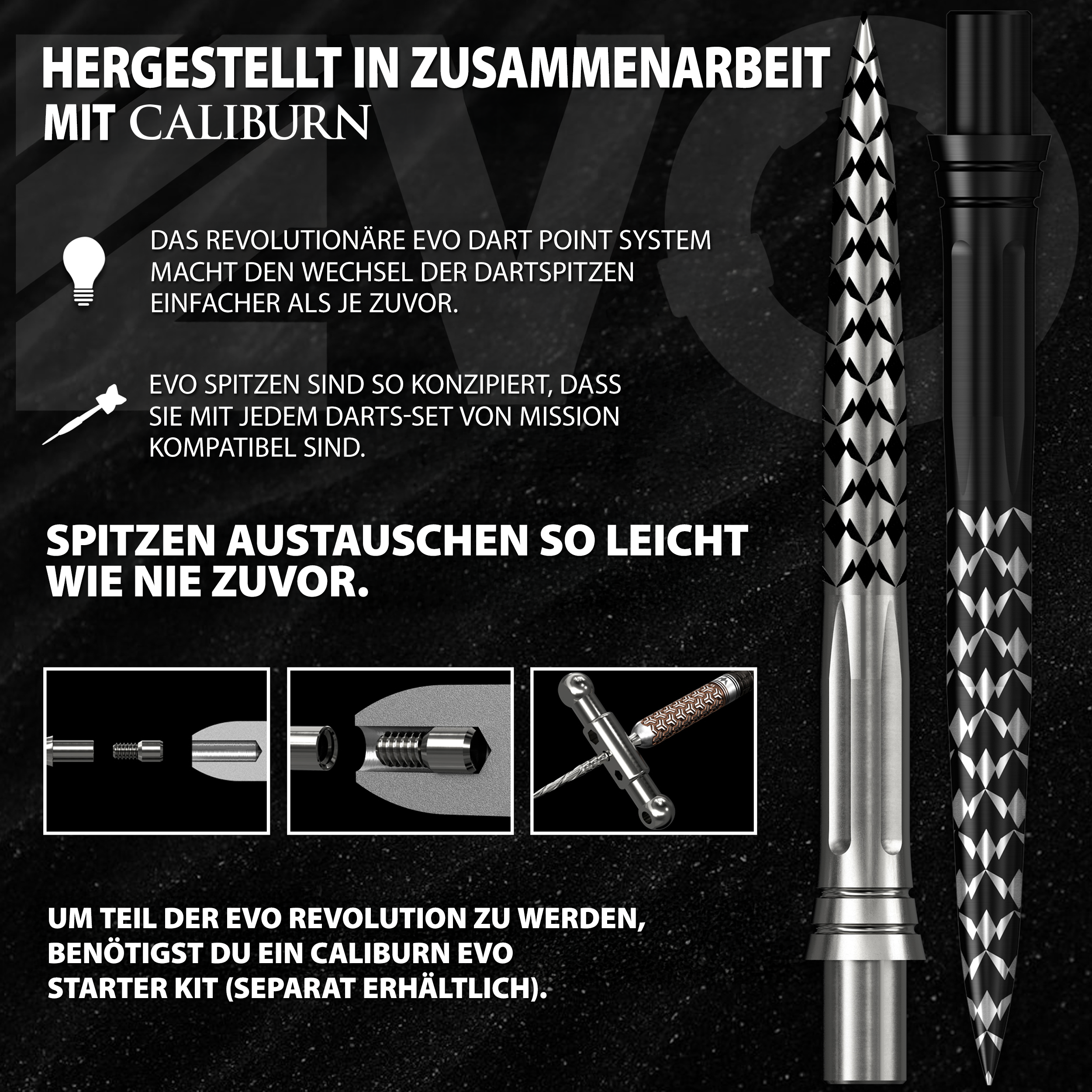 Mission - Caliburn - EVO Mission Logo - Silber Mission - Caliburn - EVO Mission Logo - Silber