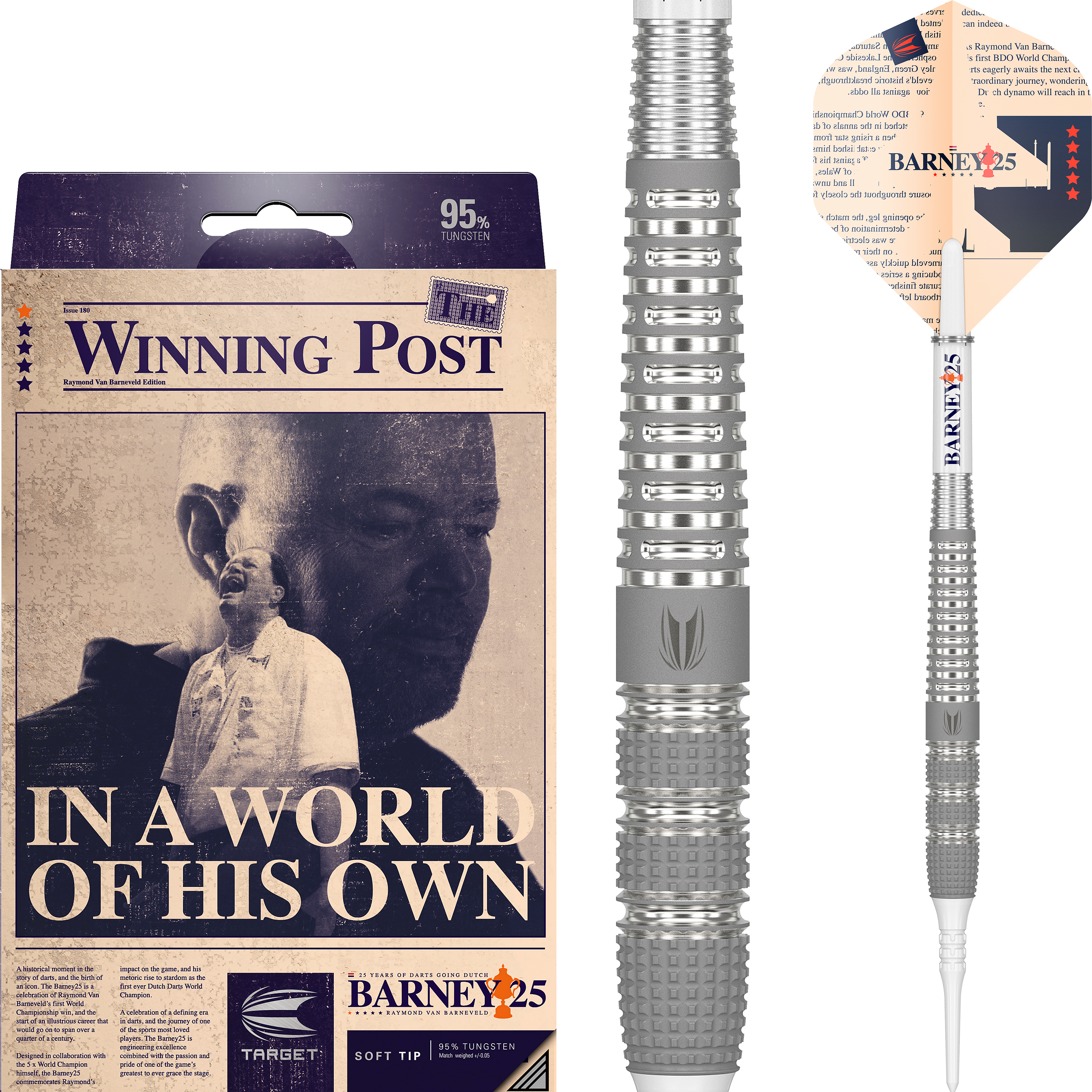 Target - Raymond van Barneveld 25 95% - Softdart Target - Raymond van Barneveld 25 95% - Softdart