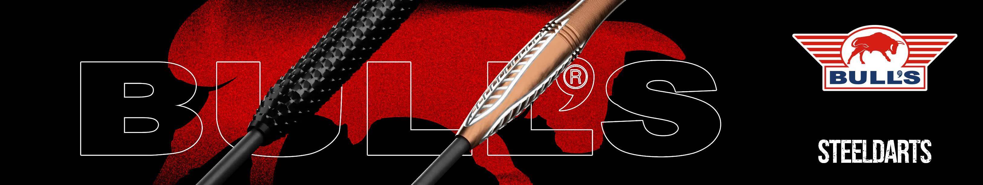 Banner-Steeldarts-Bulls-3252x615