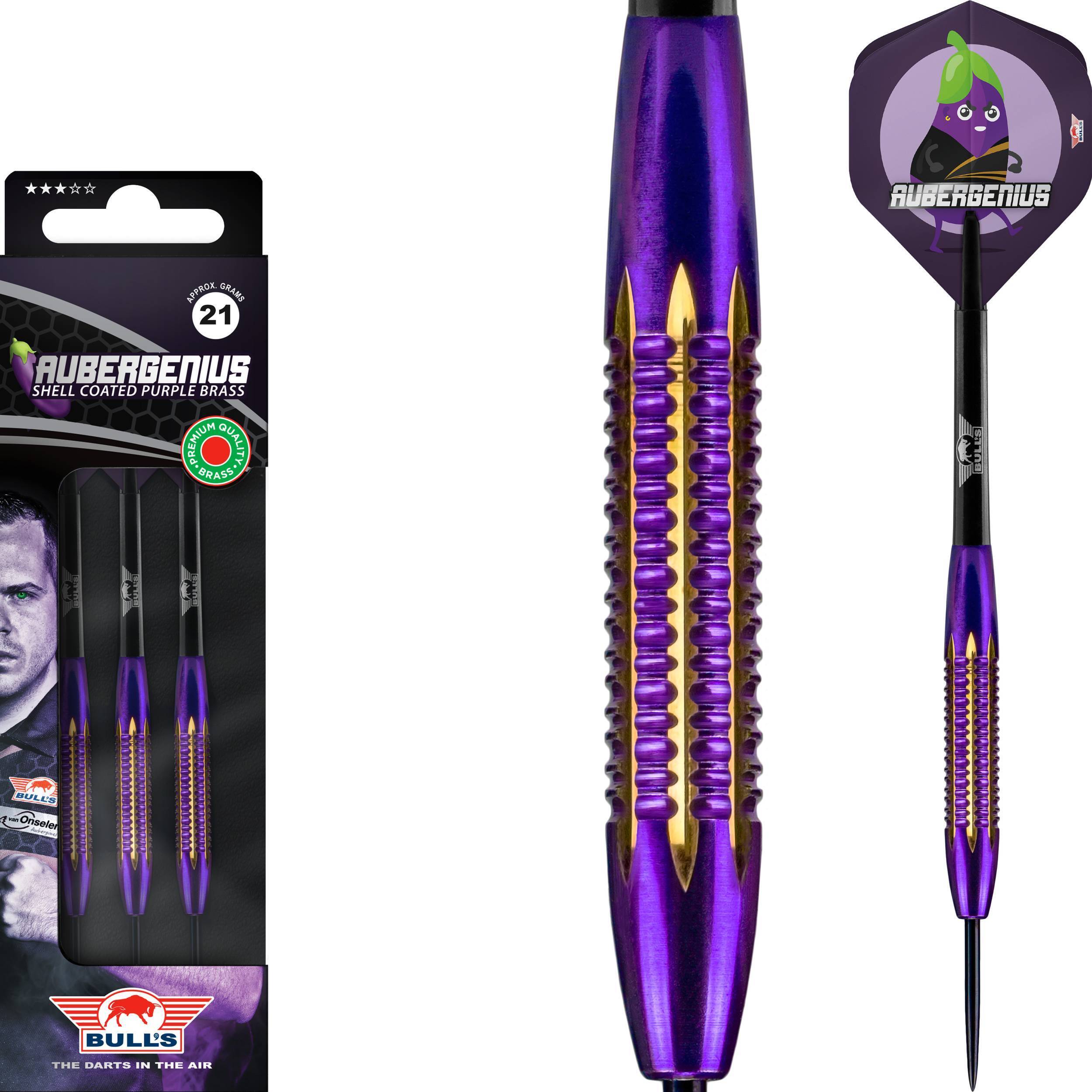 Bull-s-NL-Dirk-von-Duijvenbode-Brass-Steeldart-Collage Bull's NL - Dirk von Duijvenbode Brass - Steeldart