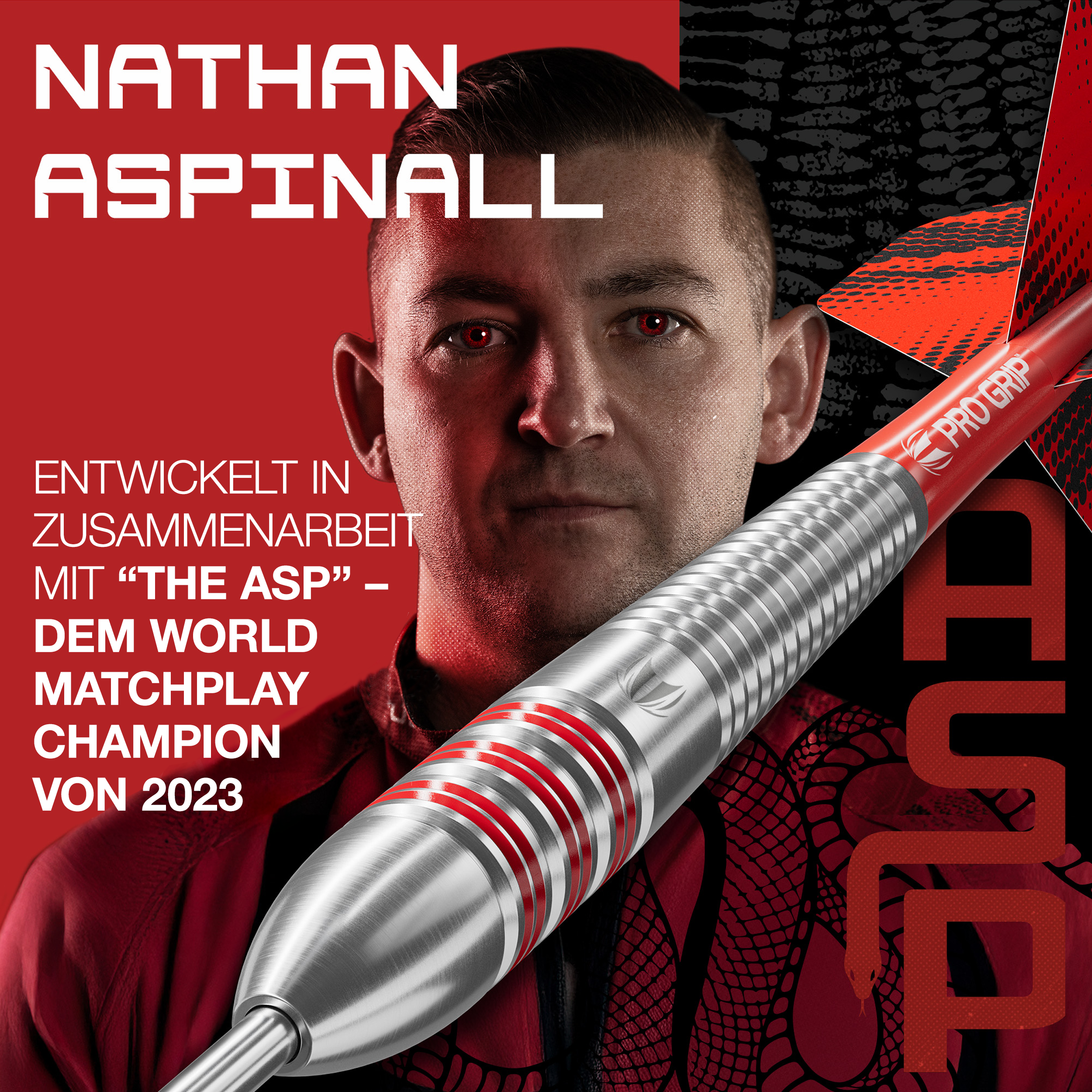 Target - Nathan Aspinall Brass - Steeldart Target - Nathan Aspinall Brass - Steeldart