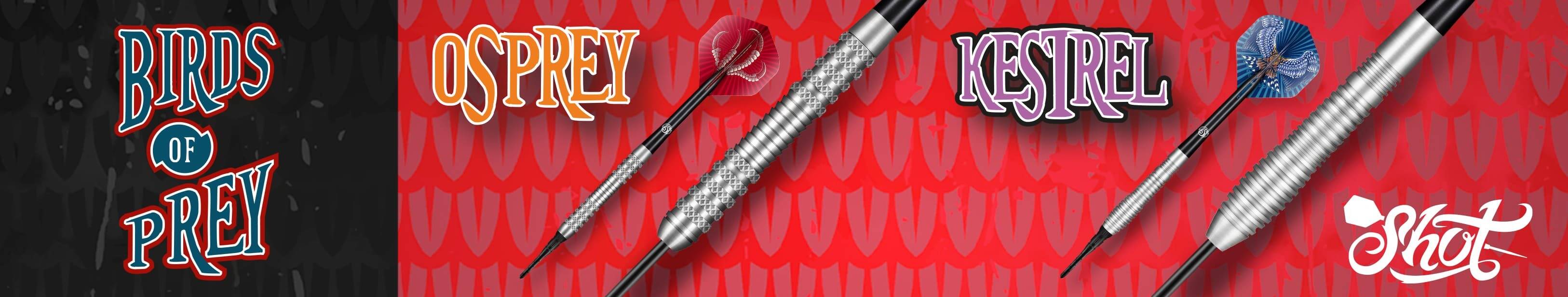 Dartsturm-3252-x-615-Banners_Birds-of-Prey_Banner Dartsturm-3252-x-615-Banners_Birds-of-Prey_Banner