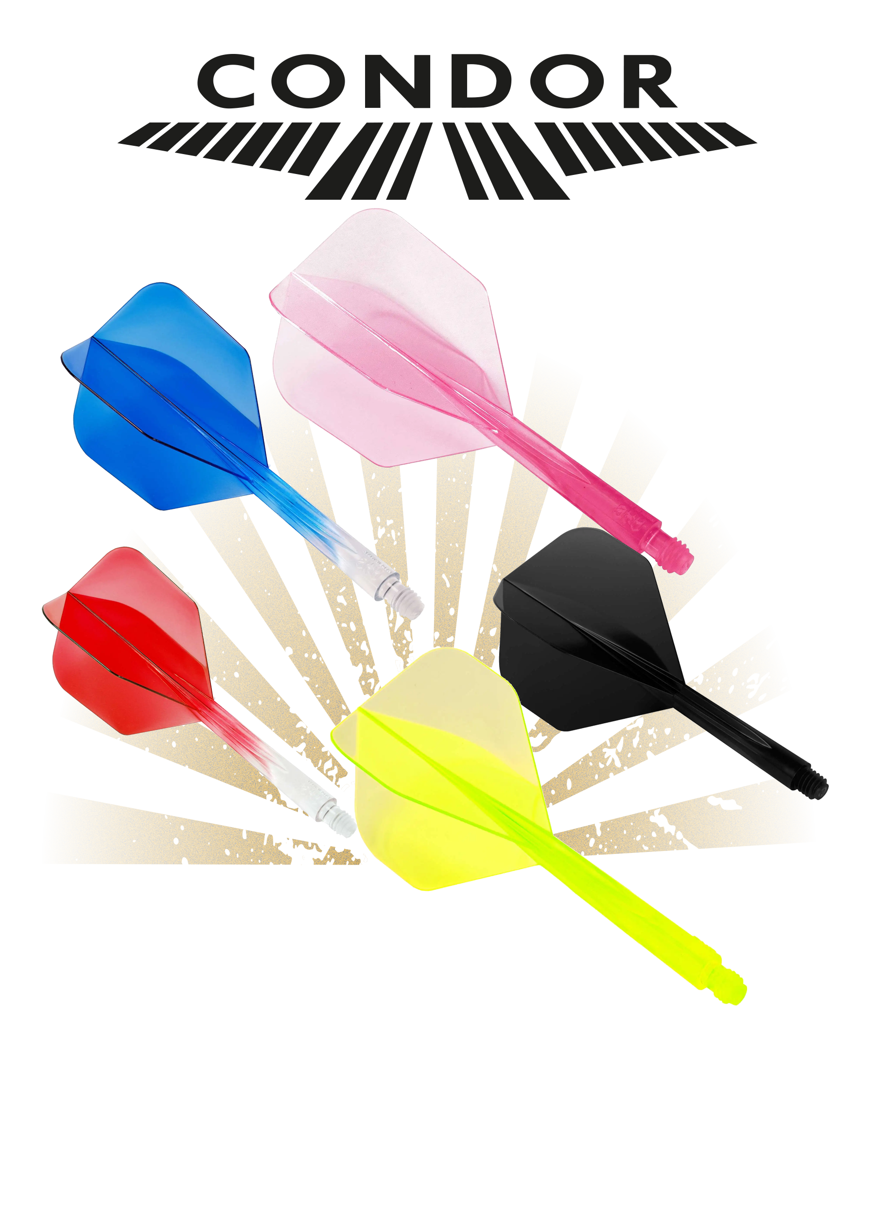 Condor-Brand-Cover-1800x2500px Condor-Brand-Cover-1800x2500px