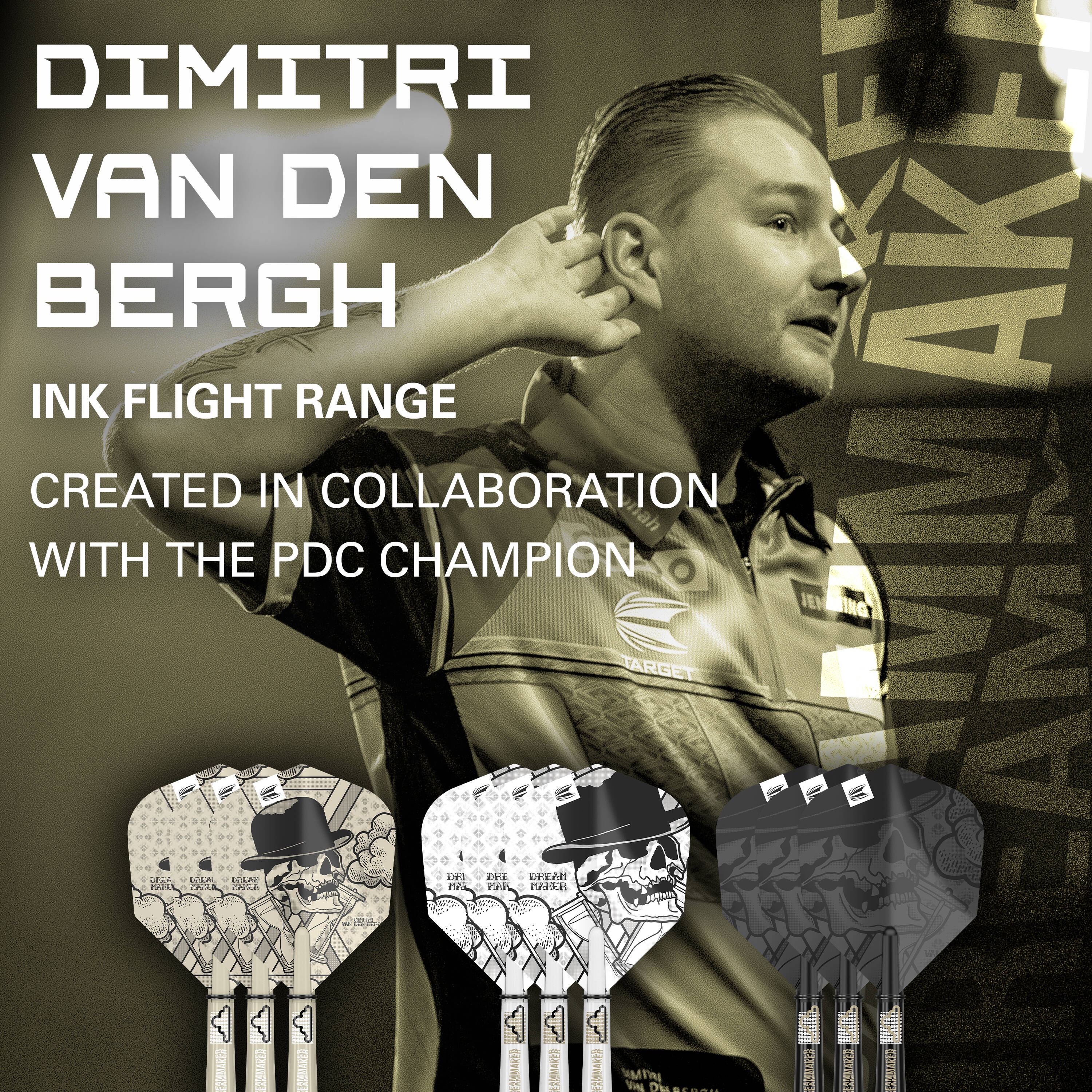 Target - Dimitri van den Bergh Ink Flight & Shaft Kit