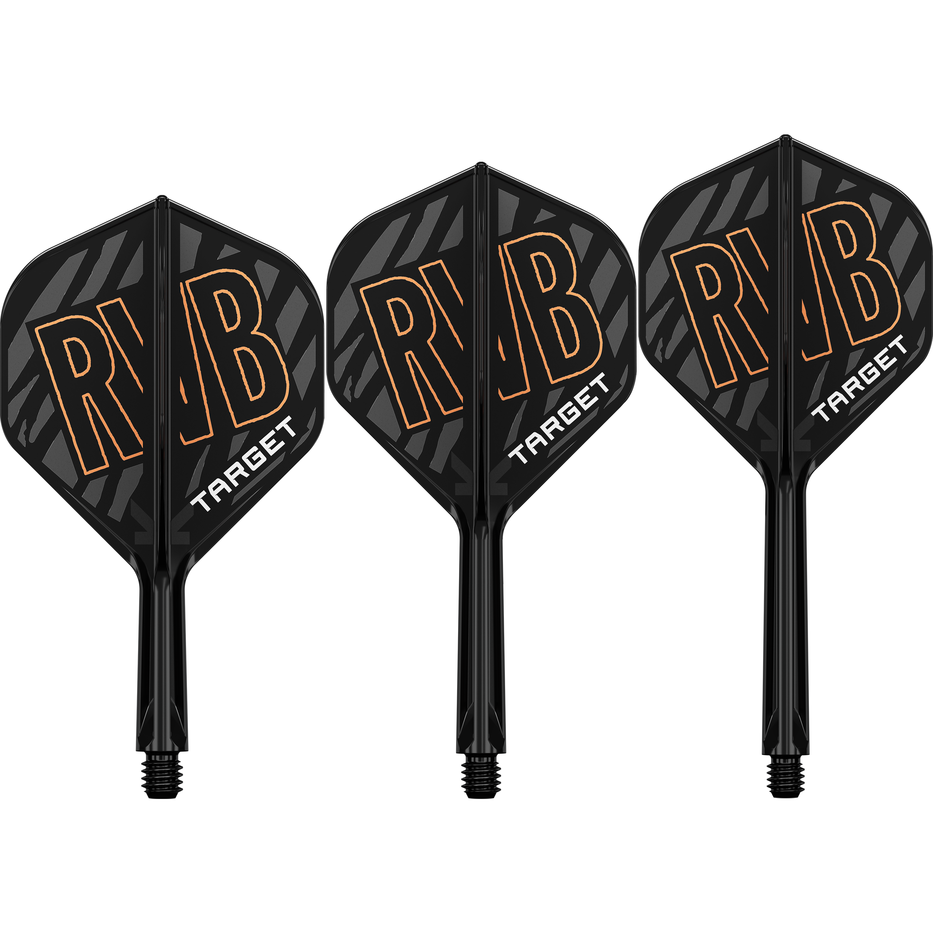 Target - K-Flex Flightsystem Raymond van Barneveld - No2