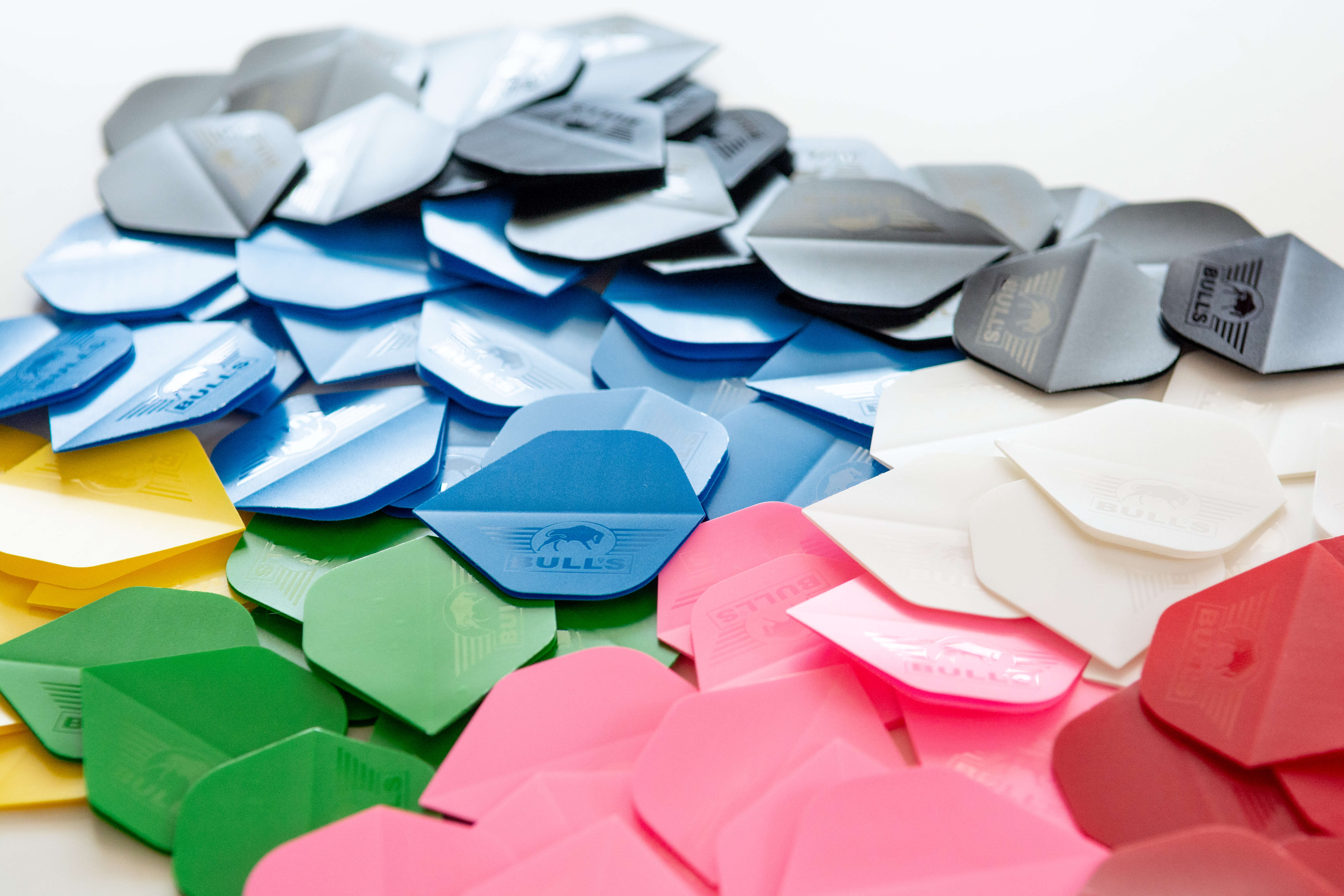 FLO_9467 Bull's NL - Polyna Flight - Standard