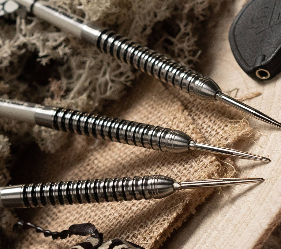 Target-Exo-Steeldarts-Swiss-Point-Optik Target-Exo-Steeldarts-Swiss-Point-Optik