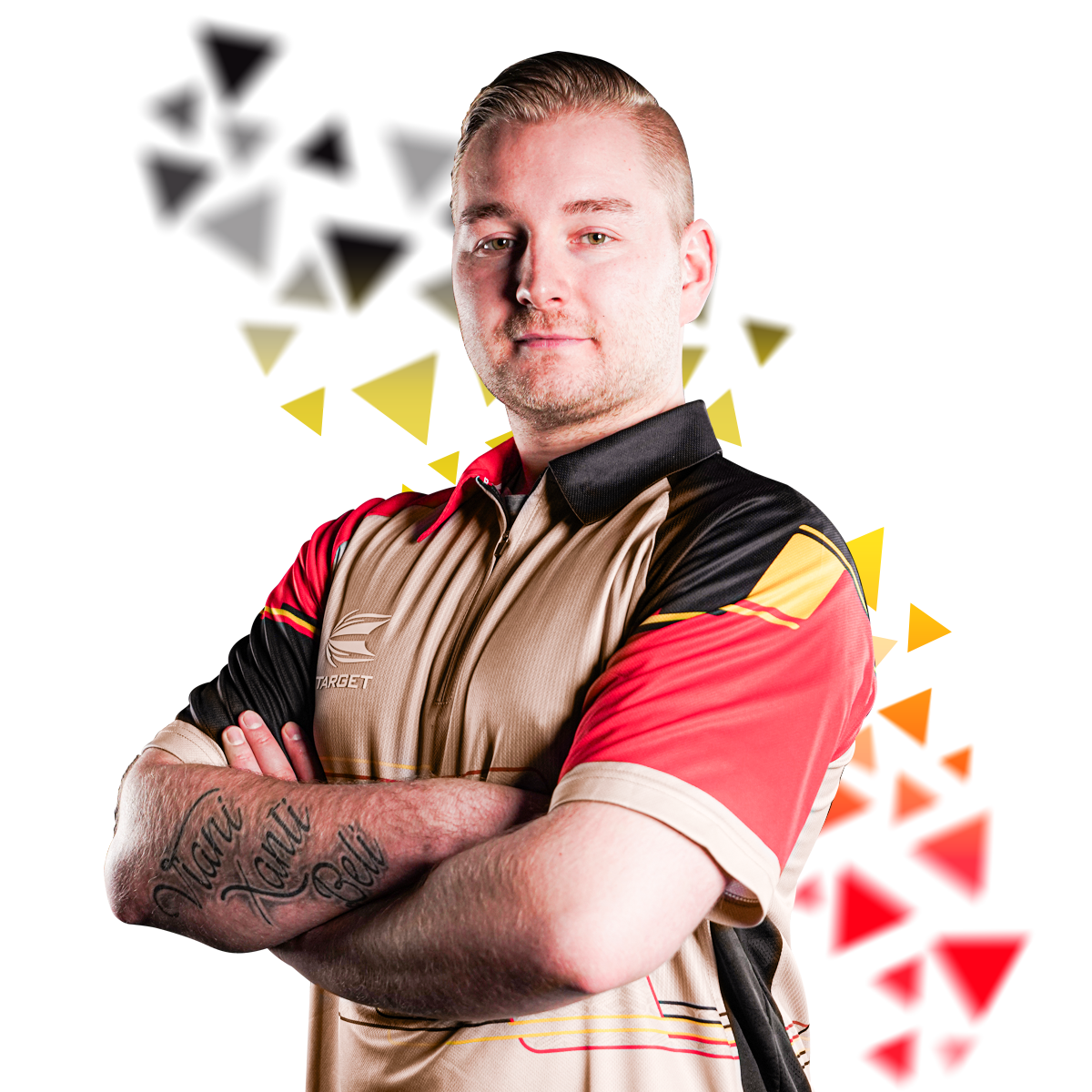 Dimitri van den Bergh Dimitri van den Bergh