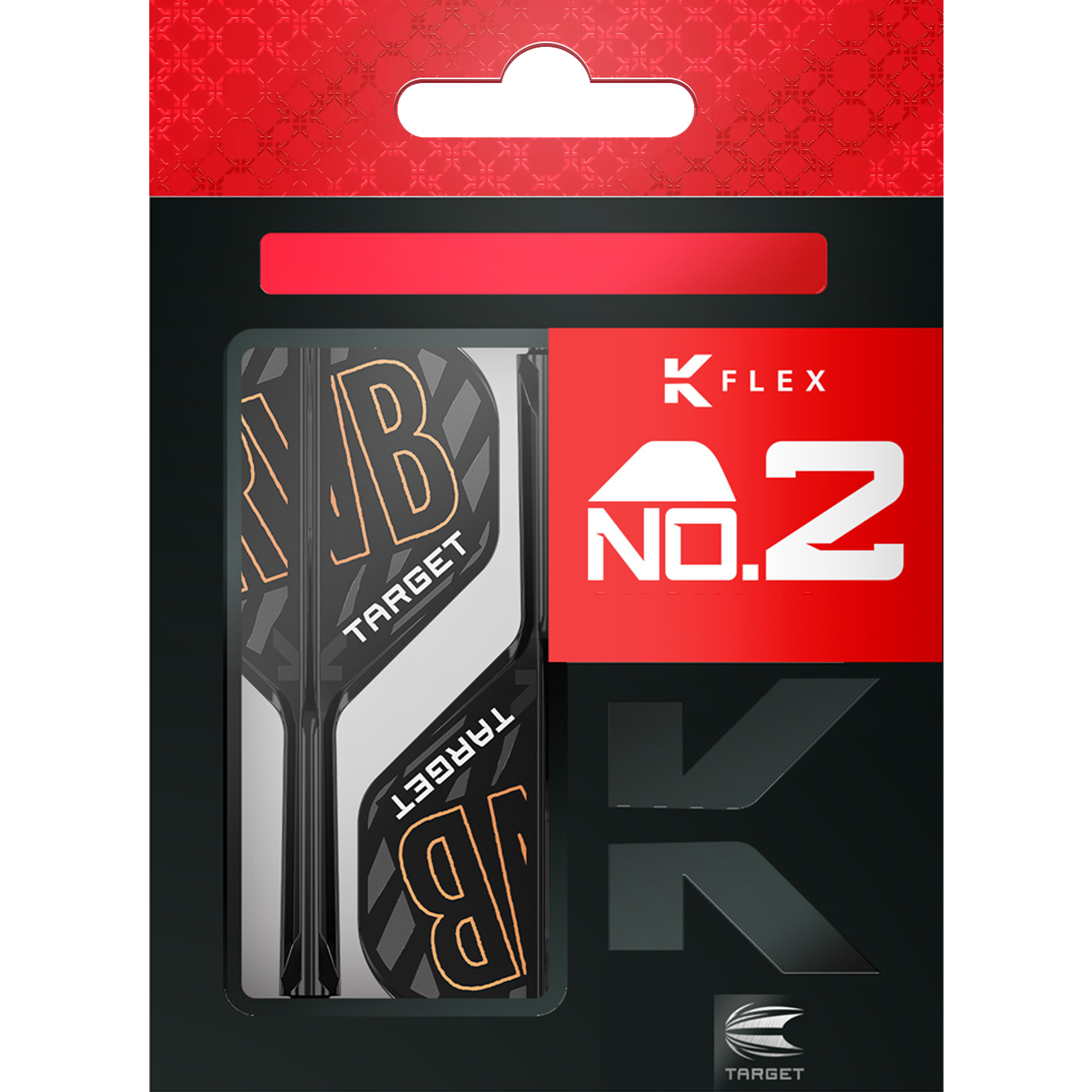 Target - K-Flex Flightsystem Raymond van Barneveld - No2