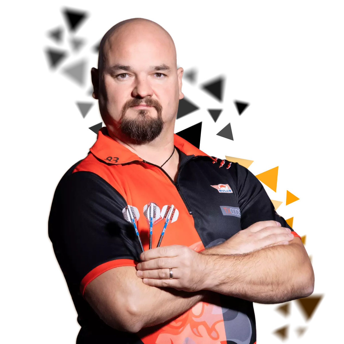 Karel Sedlacek - Spielerbild Karel Sedlacek - Spielerbild