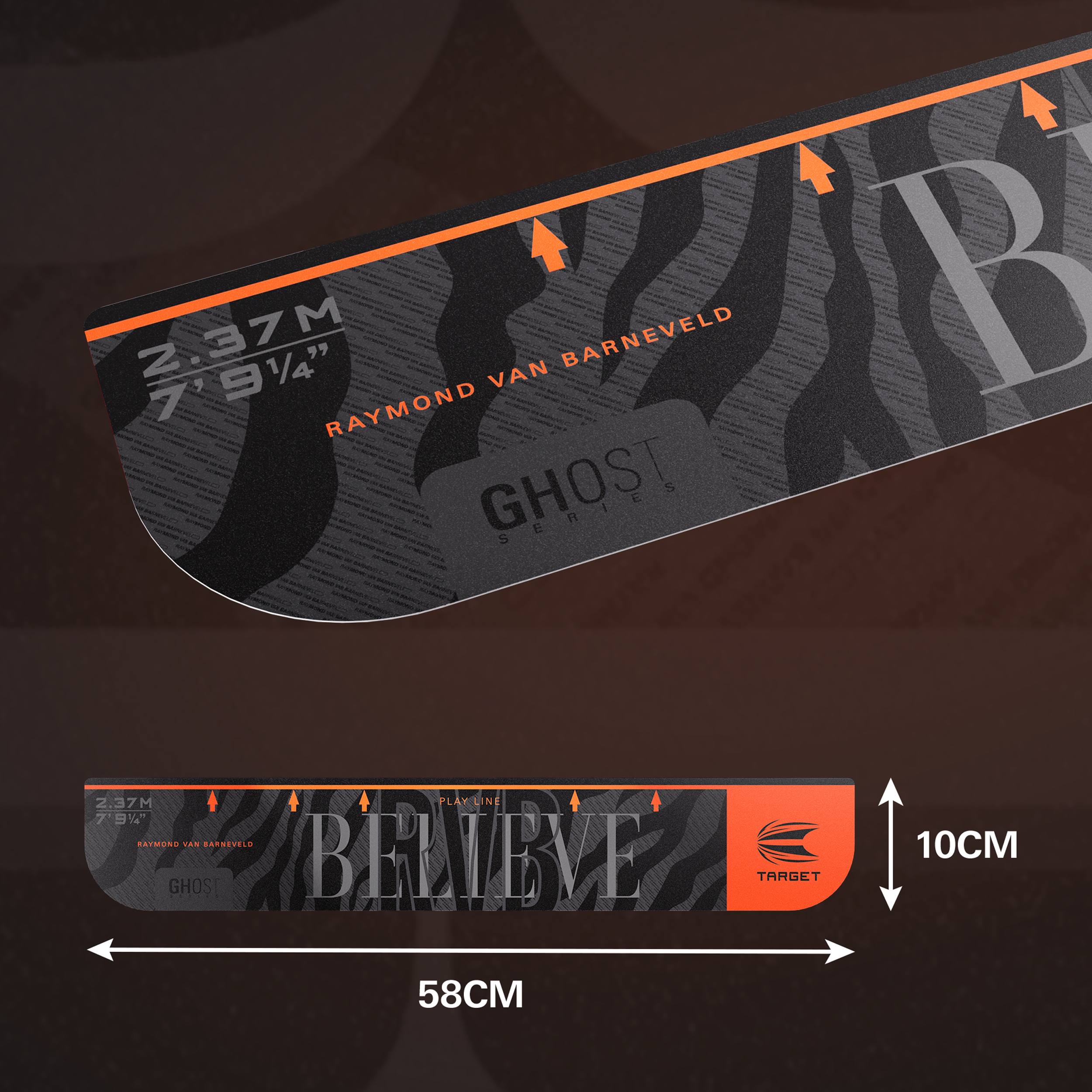 Target - Raymond van Barneveld Abwurflinie