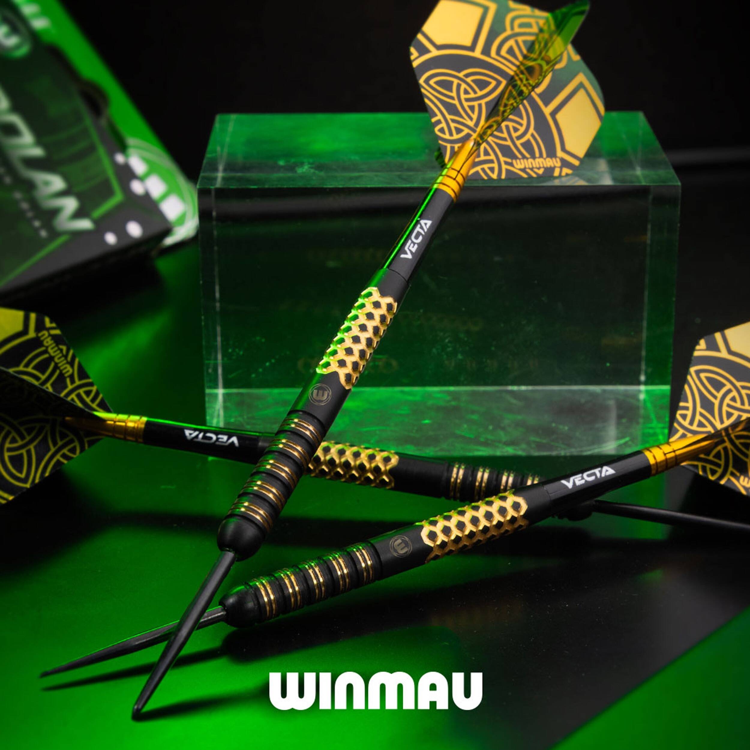 Winmau - Brendan Dolan SE - Steeldart
