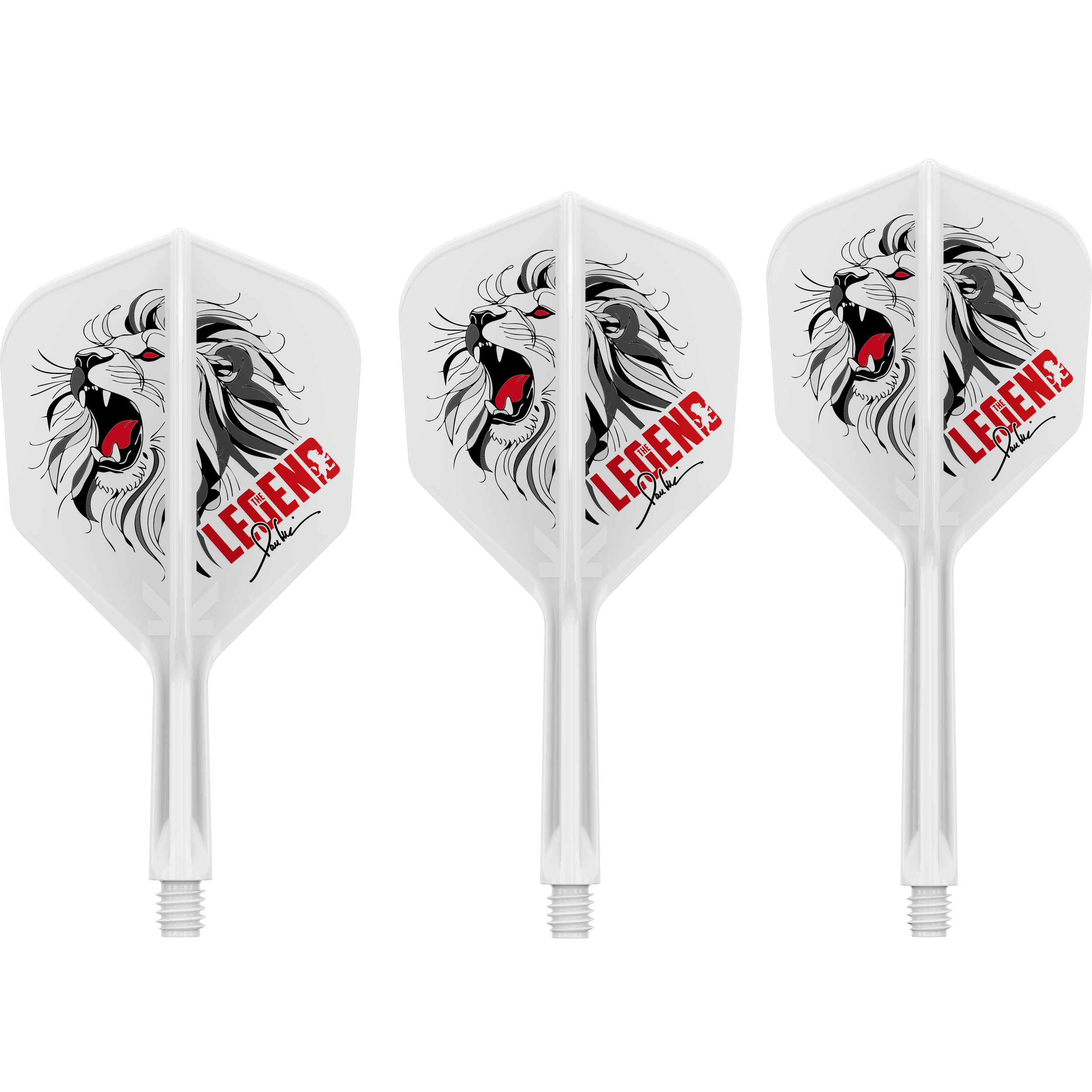 Target Japan - K-Flex Flightsystem Paul Lim - No6