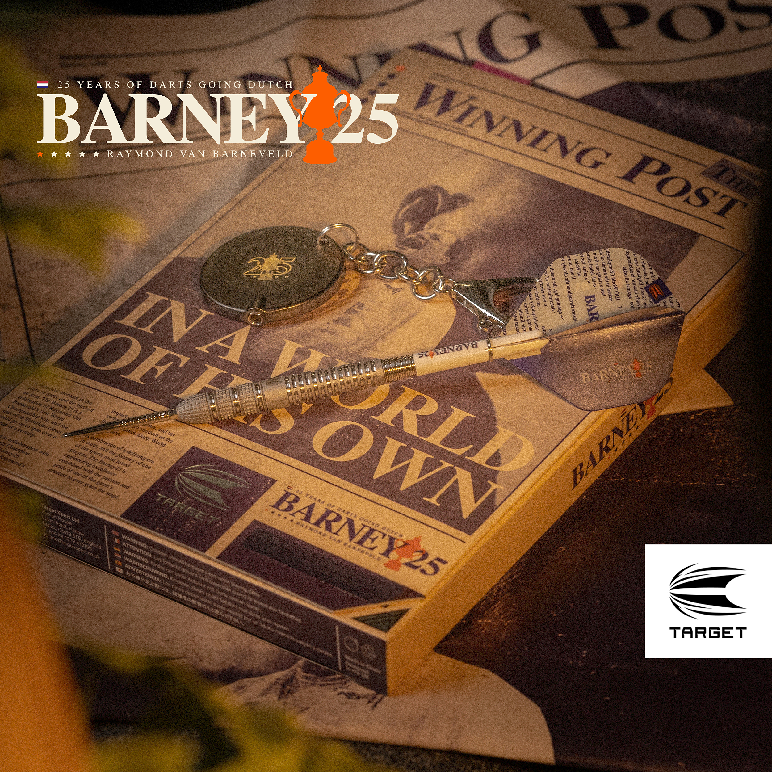 Target - Swiss Point - Raymond van Barneveld 25 95% - Steeldart Target - Swiss Point - Raymond van Barneveld 25 95% - Steeldart