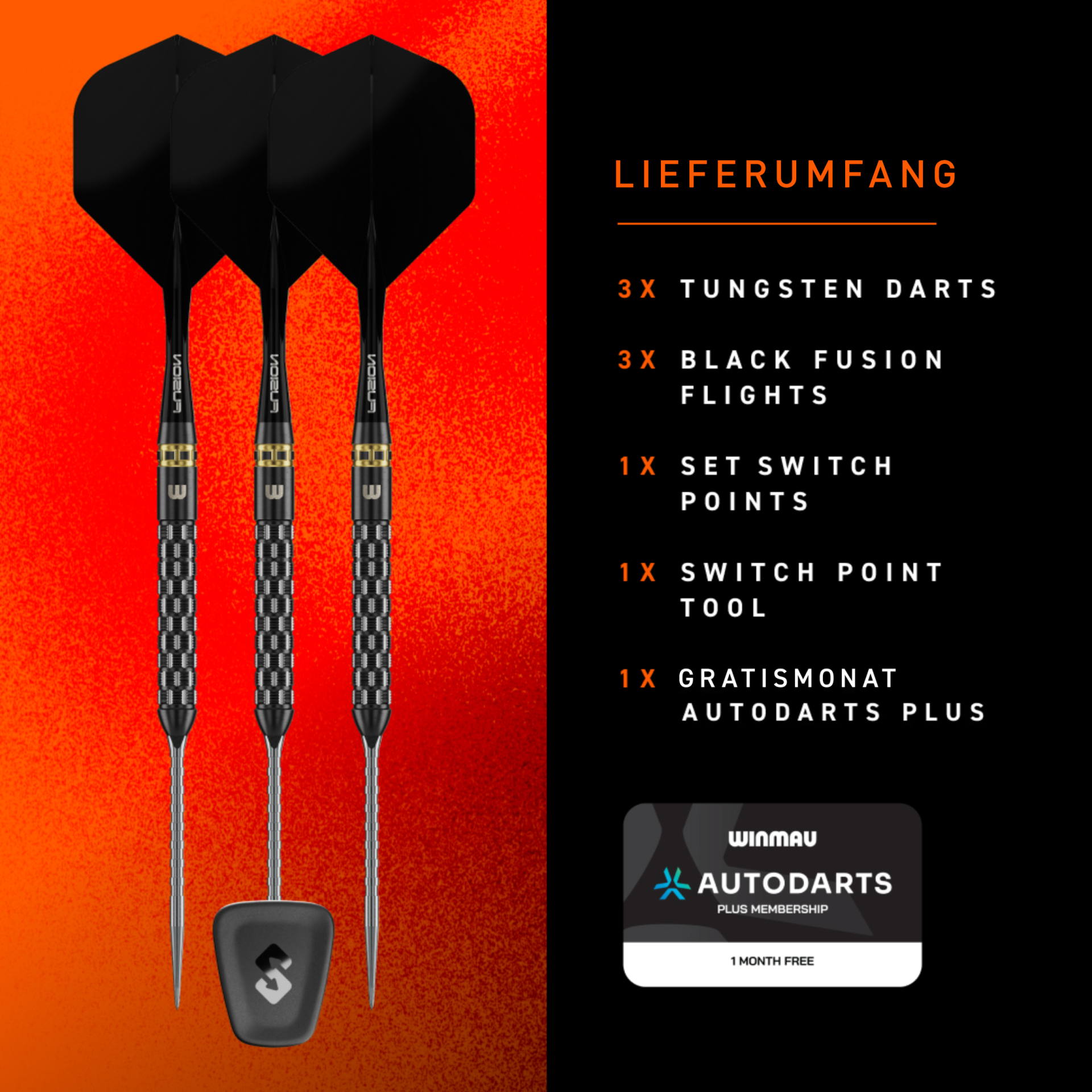 Winmau Switch Point Gian van Veen TS Pro Steeldart