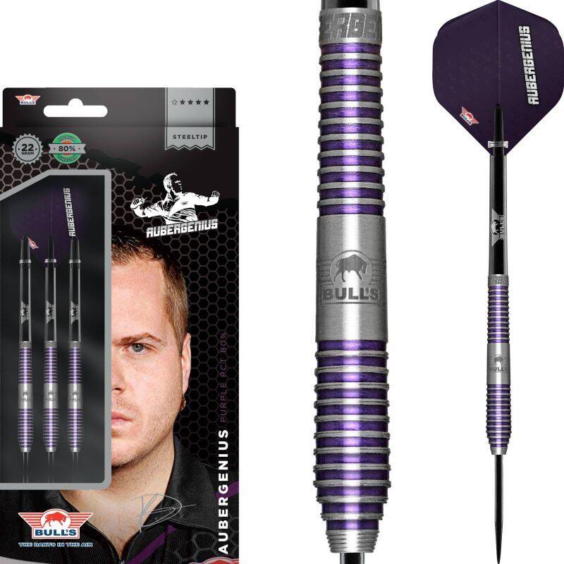 Mit diesen Darts spielen die Profis DartSturm Blog